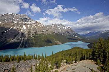 Peyto Lake, Banff National Park, UNESCO World Heritage Site, Rocky Mountains, Alberta, Canada, North America