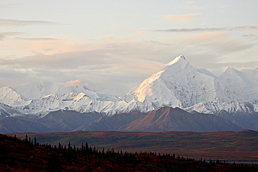 Mount Foraker in the fall, Denali National Park and Preserve, Alaska, United States of America, North America