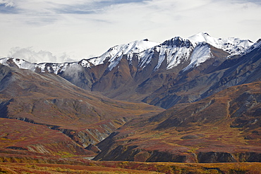 Snow-capped mountains and tundra in fall color, Denali National Park and Preserve, Alaska, United States of America, North America