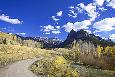 Dirt mountain road with aspens and cottonwoods in fall color, near Silver Jack, Uncompahgre National Forest, Colorado, United States of America, North America