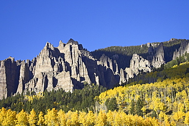 Aspens in fall colors with mountains and evergreens, near Silver Jack, Uncompahgre National Forest, Colorado, United States of America, North America