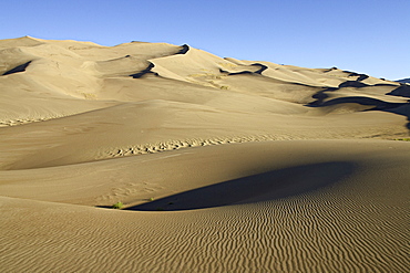 Sand dunes at dawn, Great Sand Dunes National Park, Colorado, United States of America, North America