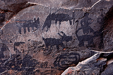 Pictographs, Palatki Heritage Site, Coconino National Forest, Arizona, United States of America, North America