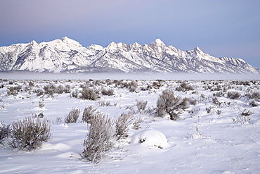 Teton range at dawn in winter, Grand Teton National Park, Wyoming, United States of America, North America