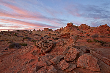 Pink clouds over sandstone formations, Coyote Buttes Wilderness, Vermilion Cliffs National Monument, Arizona, United States of America, North America