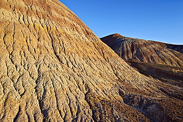 Badlands with yellow, tan, and purple dirt, Vermilion Cliffs National Monument, Arizona, United States of America, North America