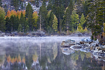 Rock Creek Lake in the fall with fog, Inyo National Forest, California, United States of America, North America