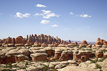 Rock formations, Needles District, Canyonlands National Park, Utah, United States of America, North America