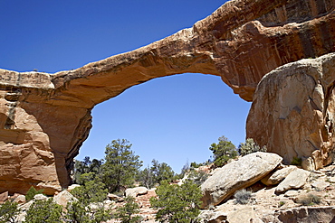 Owachomo Natural Bridge, Natural Bridges National Monument, Utah, United States of America, North America