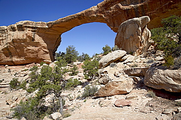 Owachomo Natural Bridge, Natural Bridges National Monument, Utah, United States of America, North America