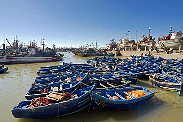 Port with fishing boats, Essaouira, Morocco, North Africa, Africa