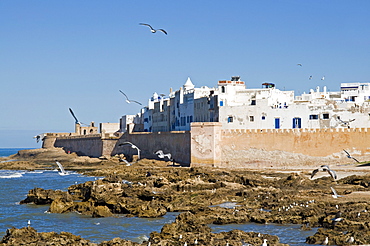 View of the ramparts of the Old City, UNESCO World Heritage Site, Essaouira, Morocco, North Africa, Africa