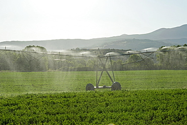 Irrigation in countryside near San Quirico d'Orcia, Siena, Tuscany, Italy, Europe