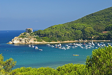 La Guardiola, Procchio, Isola d'Elba, Elba, Tuscany, Italy, Europe