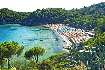 Fetovaia, Isola d'Elba, Elba, Tuscany, Italy, Europe