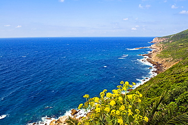 Cap Spartel, Tangier, Morocco, North Africa, Africa