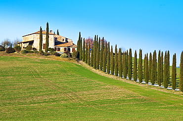 Val d'Orcia, Siena Province, Siena, Tuscany, Italy, Europe