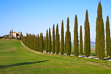 Val d'Orcia, Siena Province, Siena, Tuscany, Italy, Europe