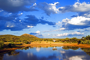 Ongava Game Reserve, Namibia, Africa