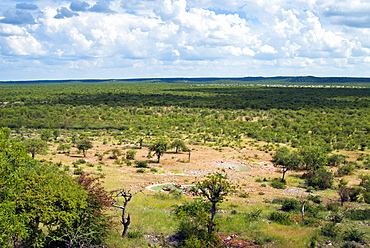 Ongava Game Reserve, Namibia, Africa