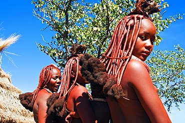 Hairstyle of Himba women, Kaokoveld, Namibia, Africa