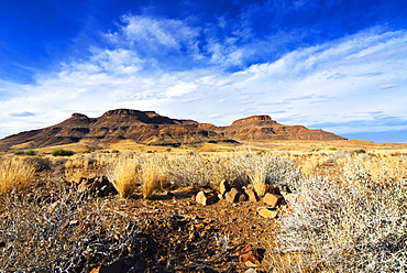 Huab River Valley area, Damaraland, Kunene Region, Namibia, Africa