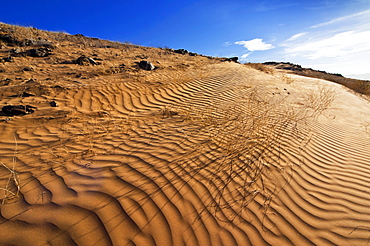 Huab River Valley area, Damaraland, Kunene Region, Namibia, Africa