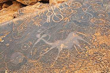 Petroglyphs or rock engravings, Twyfelfontein, UNESCO World Heritage Site, Damaraland, Kunene Region, Namibia, Africa