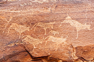 Petroglyphs or rock engravings, Twyfelfontein, UNESCO World Heritage Site, Damaraland, Kunene Region, Namibia, Africa