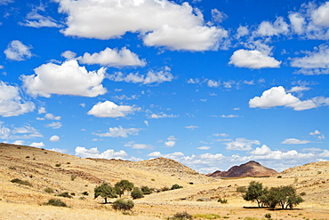 Namib desert, Namibia, Africa