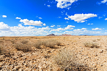 Namib desert, Namibia, Africa