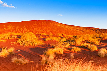 Sossusvlei, Namib Desert, Namib Naukluft Park, Namibia, Africa