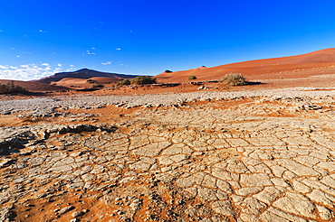 View of dunes, Sossusvlei, Namib Desert, Namib Naukluft Park, Namibia, Africa