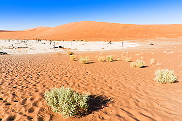 View of dunes, Sossusvlei, Namib Desert, Namib Naukluft Park, Namibia, Africa