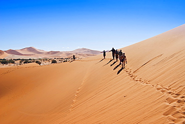 View of dunes, Sossusvlei, Namib Desert, Namib Naukluft Park, Namibia, Africa