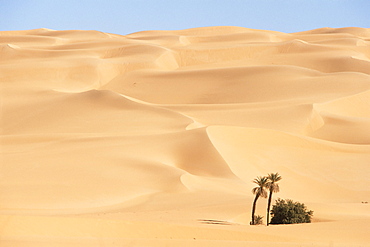 Mandara area, Southwest desert, Libya, North Africa, Africa