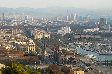 View of Barcelona from Mirador del Alcade, Barcelona, Catalunya (Catalonia) (Cataluna), Spain, Europe