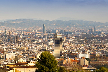 View of Barcelona from Mirador del Alcade, Barcelona, Catalunya (Catalonia) (Cataluna), Spain, Europe