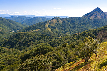 Pescaglia Mountains, Apuan Alps (Alpi Apuane), Lucca Province, Tuscany, Italy, Europe