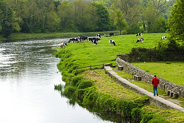 Countryside, County Kilkenny, Leinster, Republic of Ireland (Eire), Europe