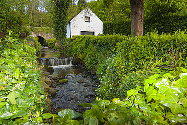 Avoca, County Wicklow, Leinster, Republic of Ireland (Eire), Europe