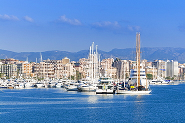 View of Palma de Mallorca harbor, Palma de Mallorca, Majorca, Balearic Islands, Spain, Mediterranean, Europe