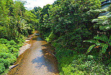 Lemanak River, Sarawak, Malaysian Borneo, Malaysia, Southeast Asia, Asia