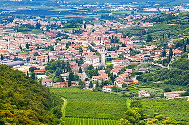 Sant Ambrogio di Valpolicella, Verona province, Veneto, Italy, Europe