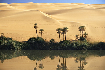 Oum el Ma (Umm el Ma) Lake, Mandara Valley, Southwest desert, Libya, North Africa, Africa