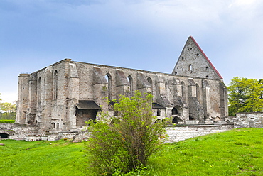 Ruins of Pirita Convent (St. Brigitta), Pirita district, Tallinn,  Estonia, Baltic States, Europe