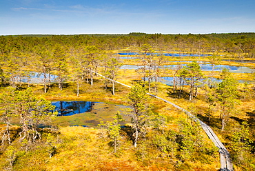 Viru Bog (Viru Raba) peat swamp, Lahemaa National Park, Harjumaa, Laane-Virumaa, Estonia, Baltic States, Europe