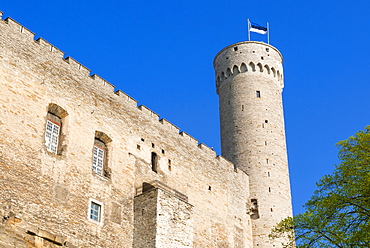 The Pikk Hermann Tower, part of the Toompea Castle,  UNESCO World Heritage Site,Tallinn, Estonia, Baltic States, Europe