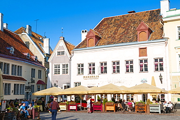 Raekoja Plats (Town Hall Square), Old Town of Tallinn, UNESCO World Heritage Site, Estonia, Baltic States, Europe