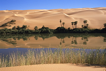 Oum el Ma Lake, Mandara Valley, Southwest Desert, Libya, North Africa, Africa